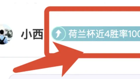 哈曼：图赫尔留任基础薄弱，期待局势改善